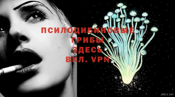 а пвп мука Белокуриха