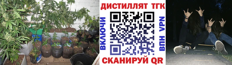 МЕГА онион  Будённовск  ТГК вейп с тгк 