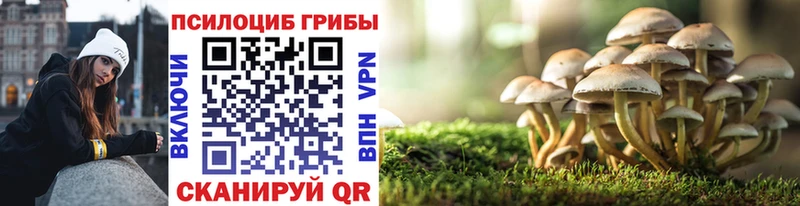 Псилоцибиновые грибы прущие грибы  Будённовск 